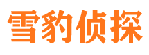 湘桥找人公司